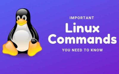 Linux – Top Commands